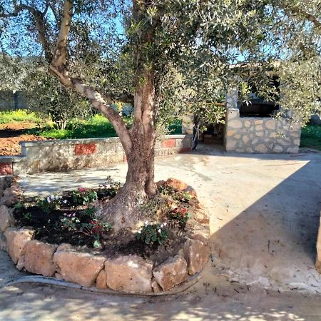 Sgm Casa Vacanze Masainas Esterno foto