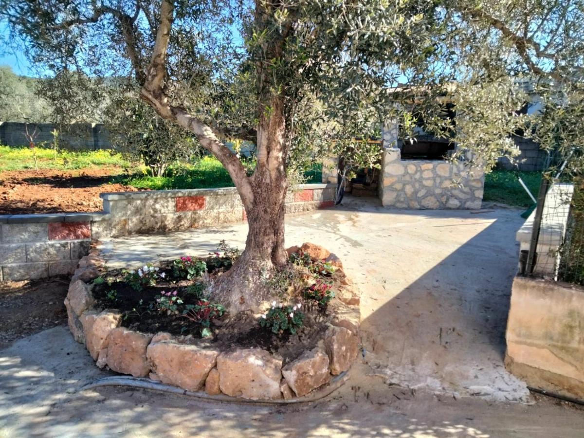 Sgm Casa Vacanze Masainas Esterno foto